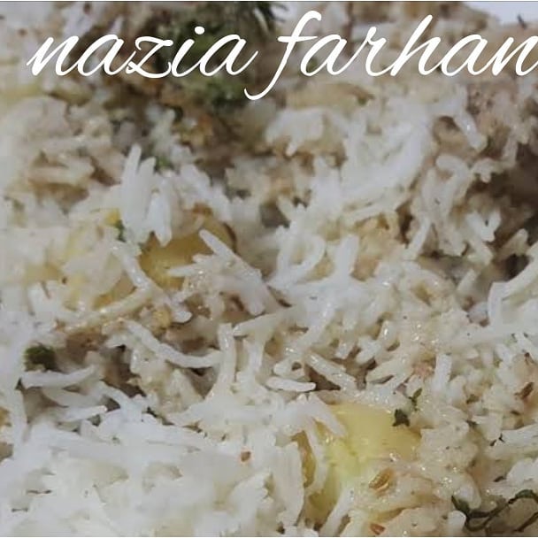 Malai Seekh Biryani