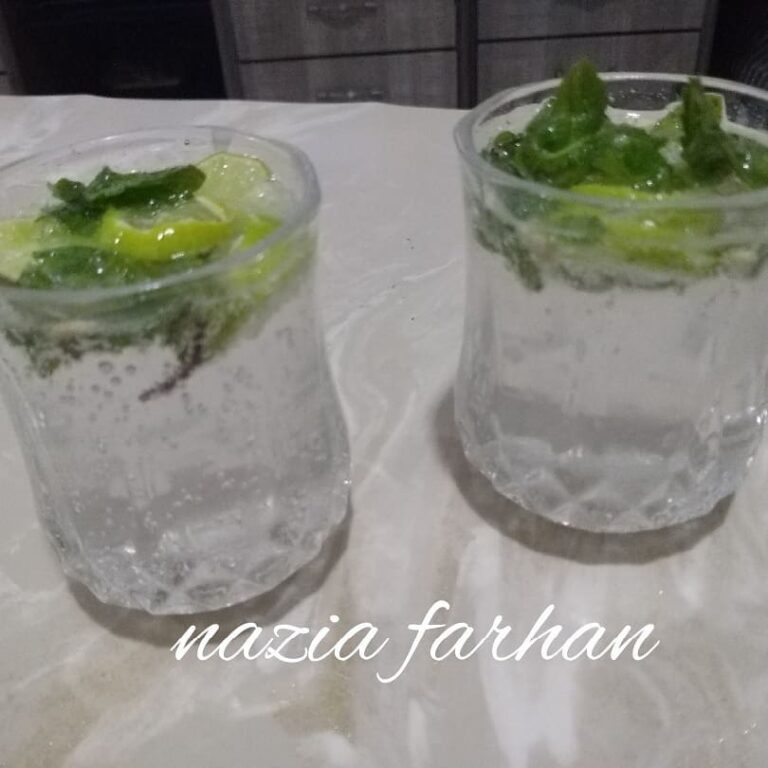 Virgin Mojito / Cranberry Mojito