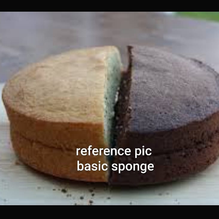 Basic Sponge Cake